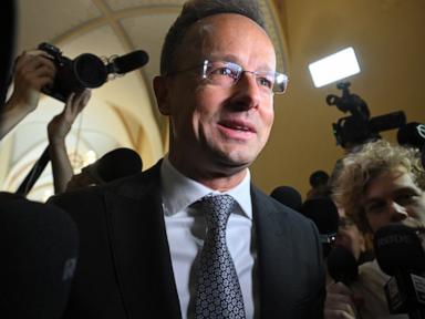Why Hungary Is Turning On Its Former Foreign Minister Over Chinese Auto Deals