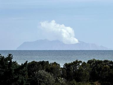 The owners of a New Zealand volcano that erupted in 2019, killing 22 people, appeal their conviction