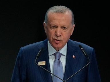 Turkey's Erdogan offers to mediate between Sudan and the UAE