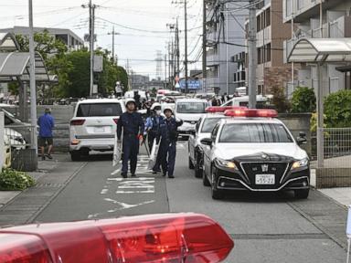 Inside the Japanese Bear Crisis Nobody is Talking About
