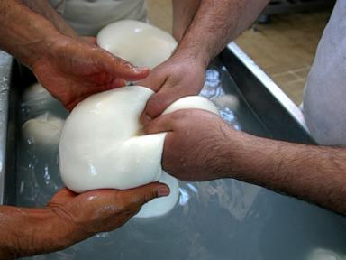 Why The Italian Buffalo Mozzarella Crisis Exposes A Fragile Food Supply Chain