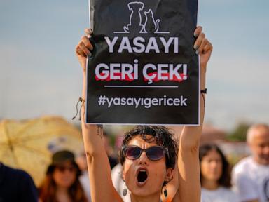 Thousands of Turks protest controversial law to remove stray dogs