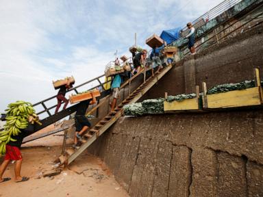 Drought has dried a major Amazon River tributary to its lowest level in over 122 years