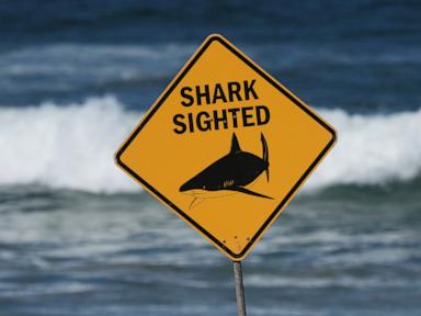 Spearfisher mauled in Australia's second fatal shark attack in a week