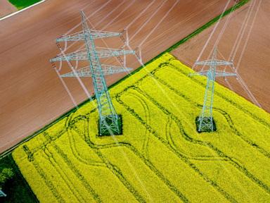 AP PHOTOS: Germany springs to life in vivid scenes of nature