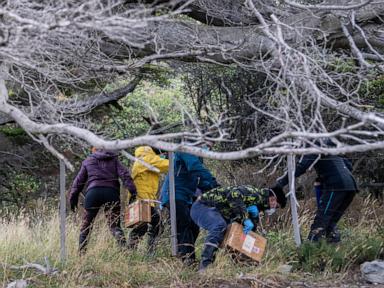 Inside the Southernmost Hantavirus Crisis Everyone Is Ignoring