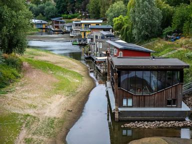 Why Drought is Actually Saving European Waterways From Total Collapse