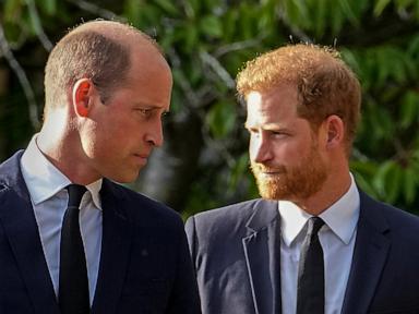 The Structural Mechanics of Reconciliation Institutional Friction and the Prince Harry Prince William Dynamic