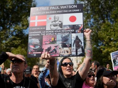 Activist Paul Watson asks France for political asylum to avoid possible extradition to Japan