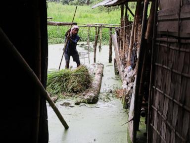Flood death toll in India's Assam reaches 100