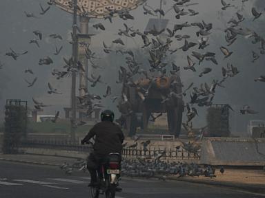 Pakistan shuts primary schools for a week in Lahore due to dangerous air quality