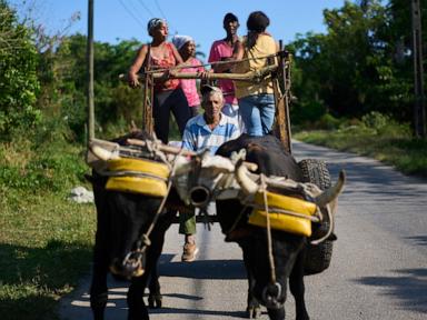 US energy blockade leaves Cuban farmers struggling to feed a nation