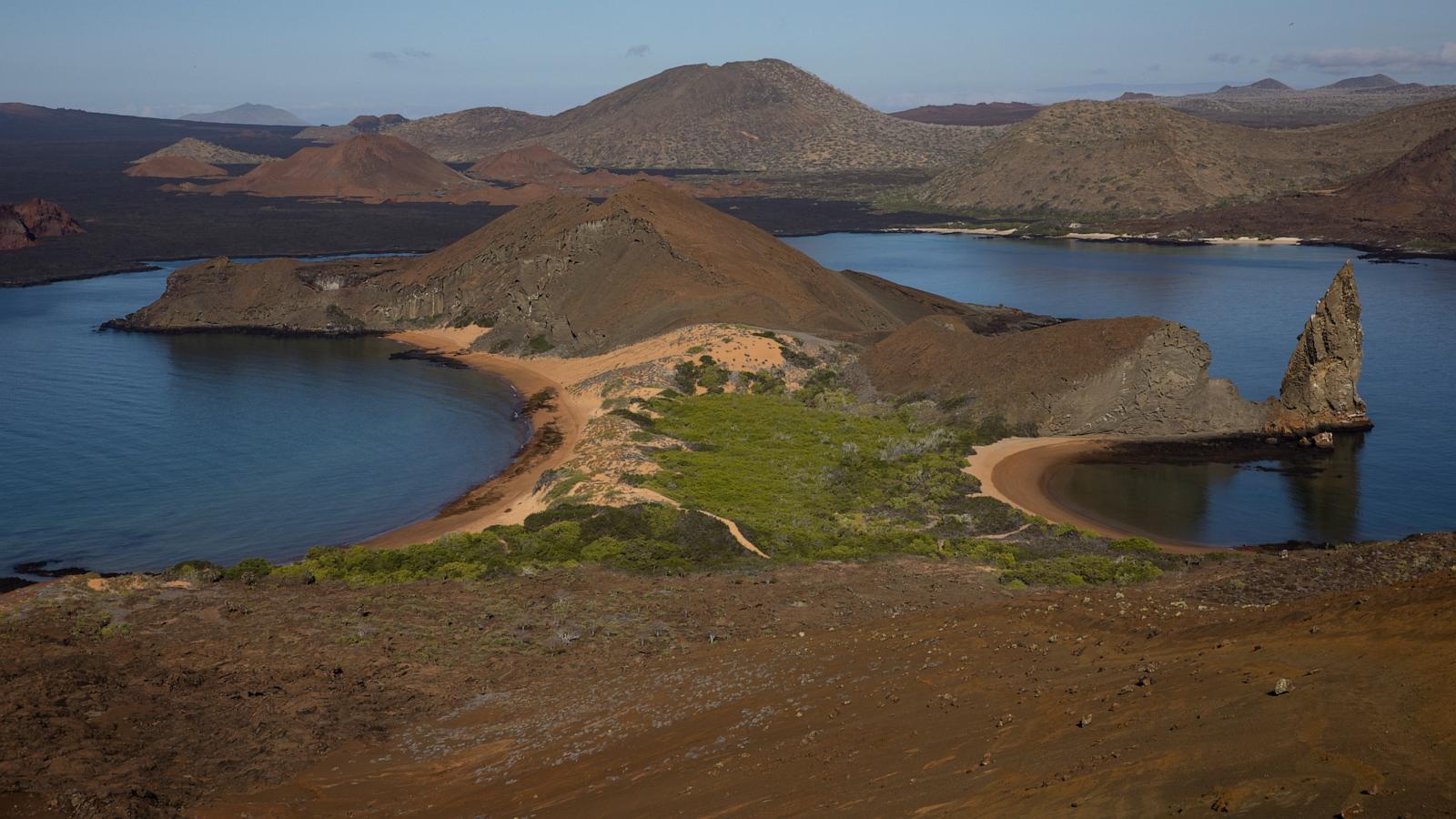 Stronger-than-normal El Nino alarms scientists over Galápagos wildlife and forests