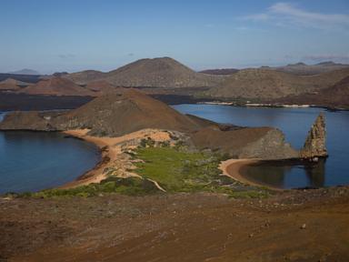 Stronger-than-normal El Nino alarms scientists over Galápagos wildlife and forests