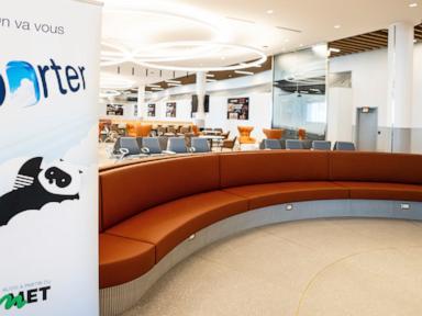 Porter Airlines flight in Canada canceled after child refuses to sit down