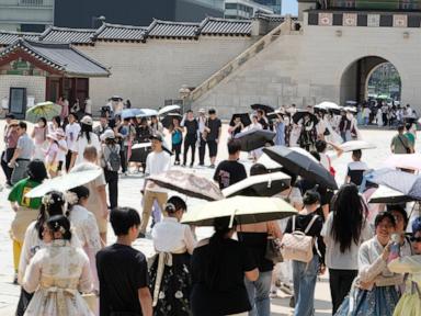 Record heat wave impacts people and animals in Japan and Korean Peninsula