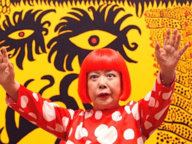 The Anatomy of Yayoi Kusama Visual Economics and Brand Scaling