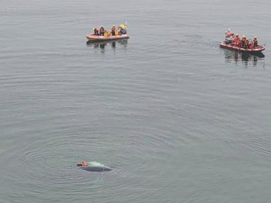 A whale caught in fishing nets has been freed off Poland's Baltic coast