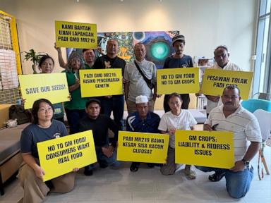 Malaysian farmers, environmental groups call for rejection of GMO rice trial