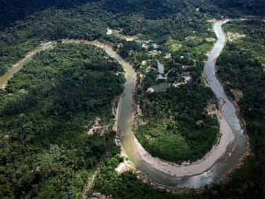 Why Cross Border Amazon Protection Deals Often Fail And How Brazil And Peru Can Fix It
