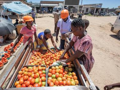 Electric tricycles are a ticket to respect and prosperity for some rural women in Zimbabwe