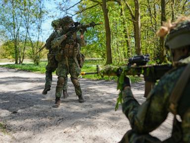 Dutch Military Reserves Mobilization Analysis