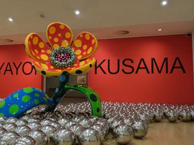 Amsterdam’s Stedelijk Museum opens a major Yayoi Kusama exhibition after her death last month