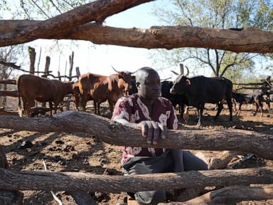 He once poached the wild animals of Zimbabwe. Now he preaches against it