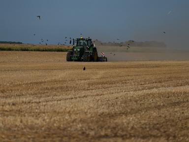 A punishing European drought shrivels crops from Dutch potatoes to Bosnian corn