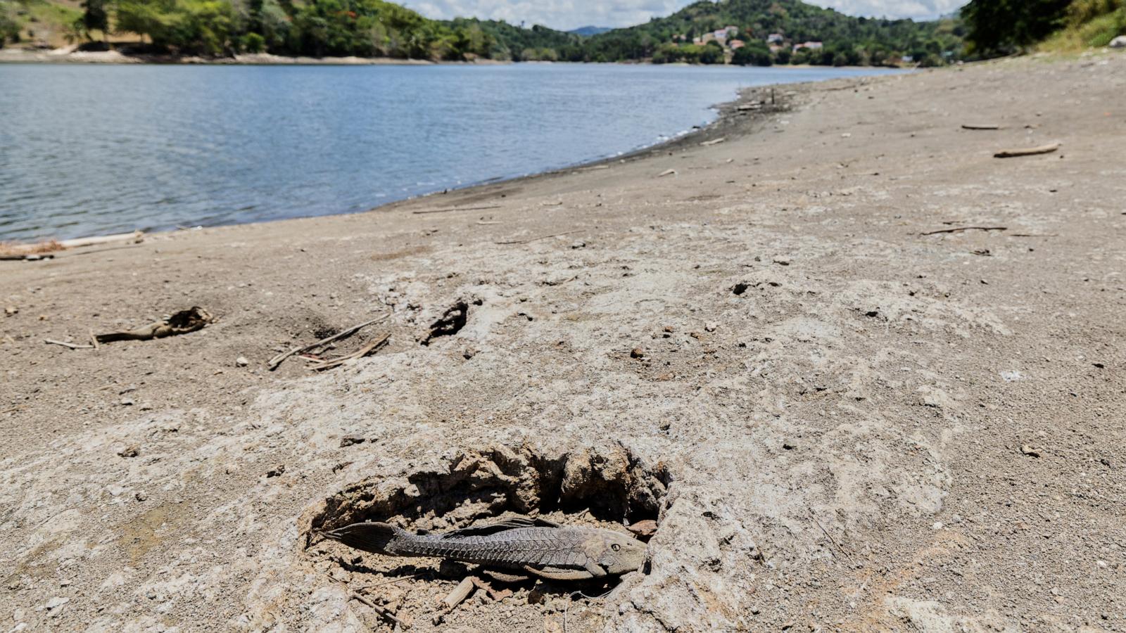 US declares drought disaster for parts of Puerto Rico as dry conditions persist