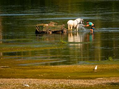 Central Europe swelters and Slovakia and Austria hit their record high temperatures