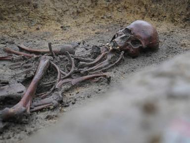 In Denmark, 50 well-preserved Viking Age skeletons have been unearthed