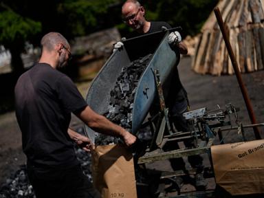 Traditional Charcoal Production Economics And Thermodynamic Efficiency