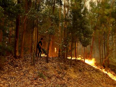 Portugal declares a state of calamity as wildfires rage out of control