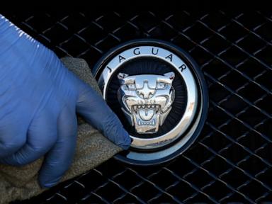 The Structural Anatomy of Automotive Margin Collapse And Strategic Retrenchment