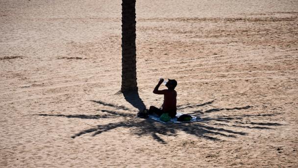 A man takes advantage of the shade of a palm tree to protect himself from the sun while hydrating himself by drinking water, on a hot day at the beach in Barcelona, Spain, Wednesday, July 2, 2025. (AP Photo/Emilio Morenatti)