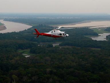 Brazil says Amazon deforestation fell to the lowest level since 1988