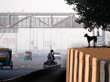 Toxic smog cloaks India's capital as Diwali firecrackers push air pollution to hazardous levels