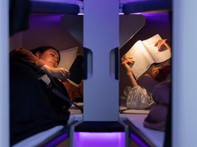 The Economics of Vertical Cabin Compression Micro-Berth Monetization and Behavioral Control in Low-Cost Long-Haul Aviation