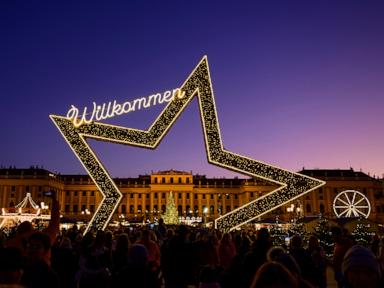 Lighting of Vienna town hall Christmas tree marks start of Yuletide season in Austrian capital