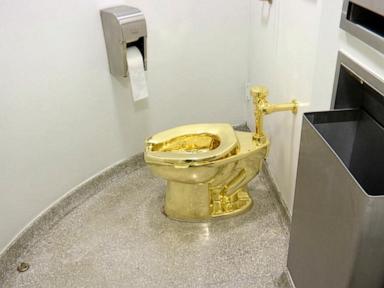 Court convicts thief who stole golden toilet from English palace