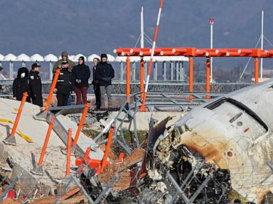 South Korean crash report: Bird remains in engines, but cause still unclear