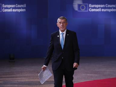 Why The Recent Czech Senate Election Stunned Prime Minister Andrej Babis