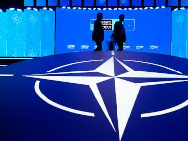 Why European Cash Cant Buy Donald Trumps Loyalty At Nato
