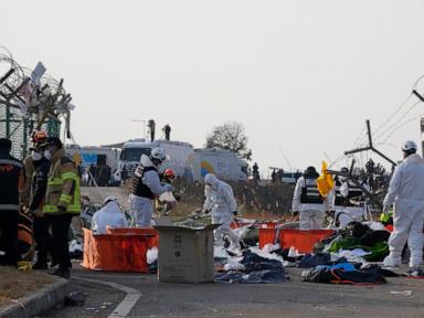 What we know about the deadly passenger jet crash in South Korea