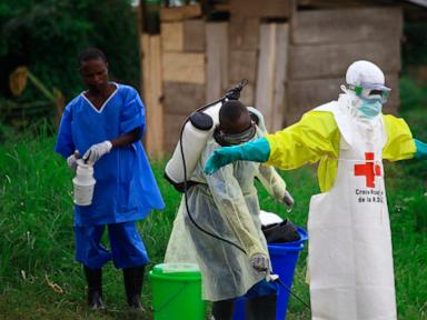 Stop Panicking About Ebola Mutations The Real Threat in Ituri is Our Broken Containment Playbook