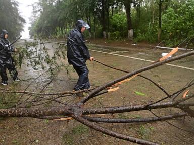 Why Tropical Storm Maysak Caught East Asia Off Guard