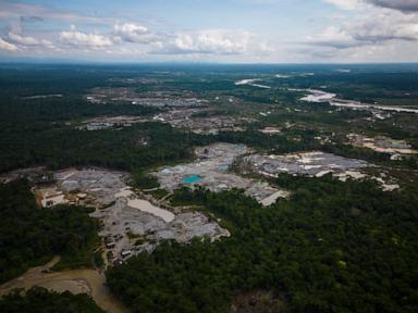 Five Amazon countries arrest hundreds in major crackdown on environmental crime