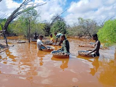 Thousands of endangered tortoises rescued in Madagascar after their sanctuary floods