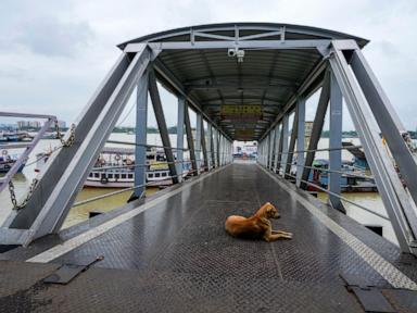 Tropical Storm Dana brings heavy rains and strong wind to India's eastern coast